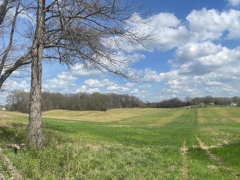 2375 Antioch Church Road Alvaton, KY 42122 - Photo 9 of 26 Gallery Image 9