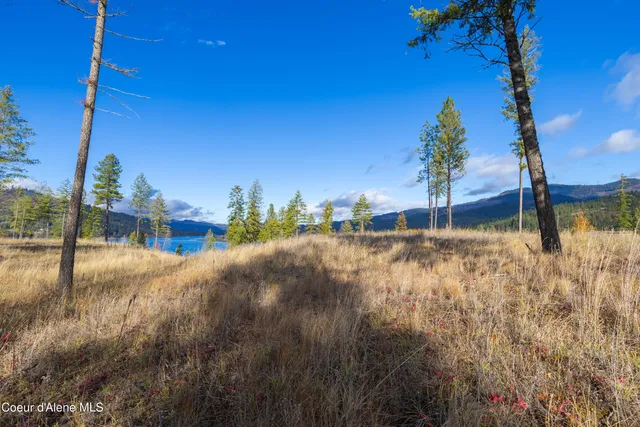 $750,000 | Nna Woodchuck Drive, Priest River, ID 83856