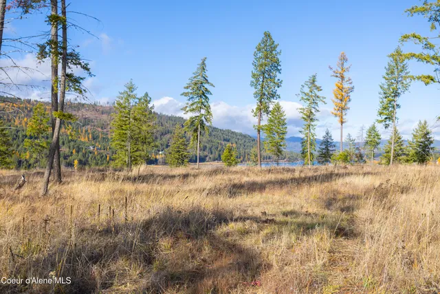 $750,000 | Nna Woodchuck Drive, Priest River, ID 83856
