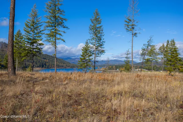 $750,000 | Nna Woodchuck Drive, Priest River, ID 83856