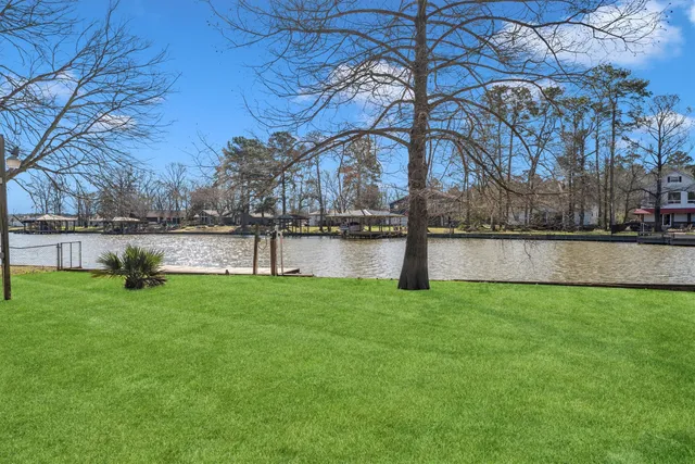 a view of a yard with a bench and trees