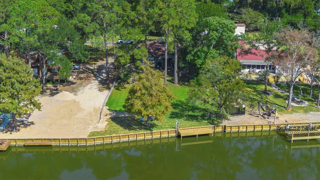 a view of a park with large trees