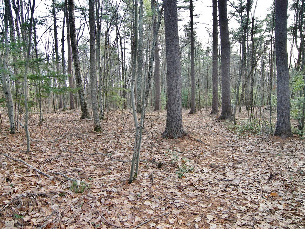 Lot 0 Federal Hill Road Hollis, NH 03049 - Photo 3 of 7 Gallery Image 3
