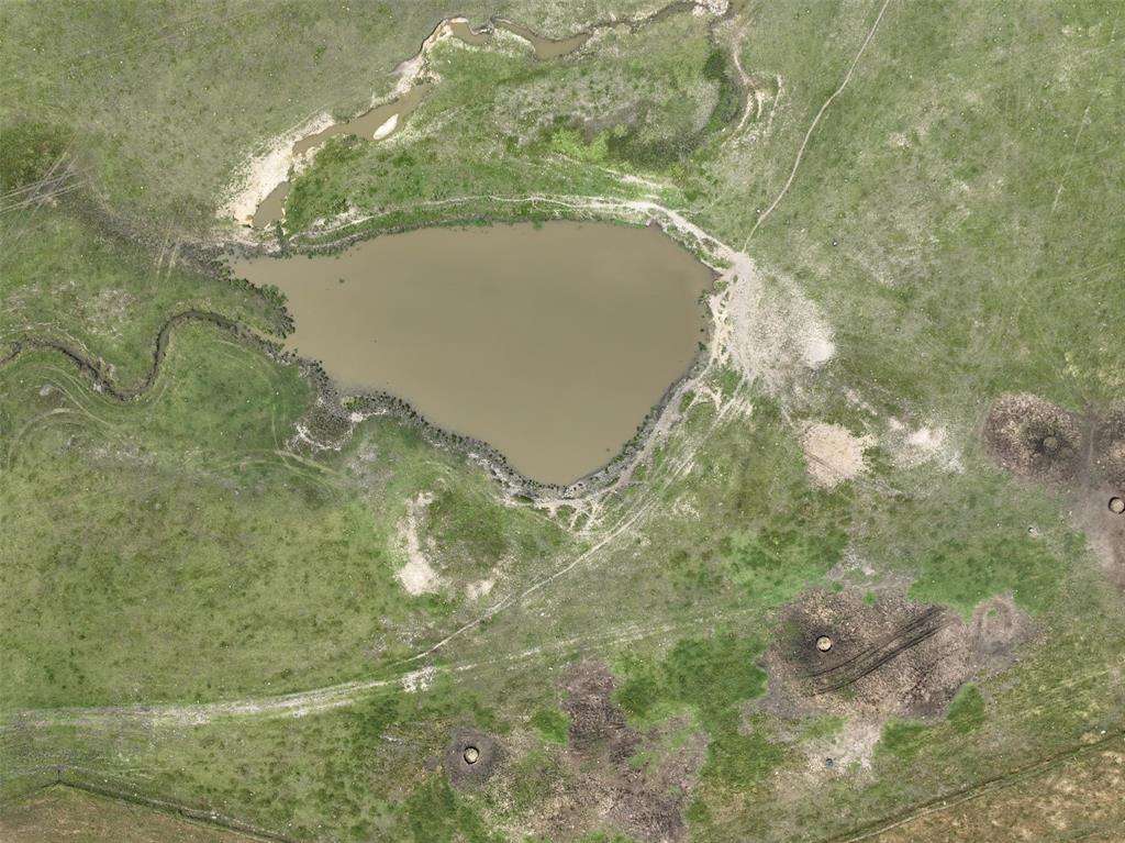 1630 Fm 1198 Muenster, TX 76252 - Photo 12 of 18 a close up of a plant in a lake
