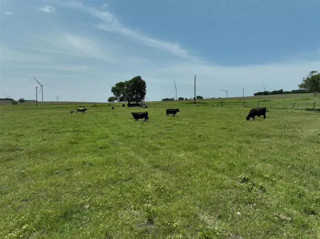 a view of a field with an ocean