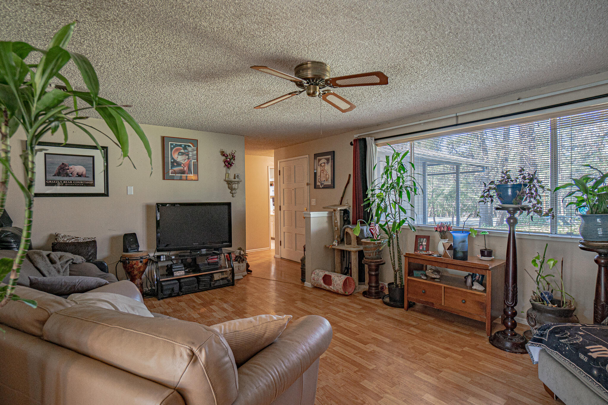 621 Upper Applegate Road Jacksonville, OR 97530 - Photo 5 of 24 Living Room
