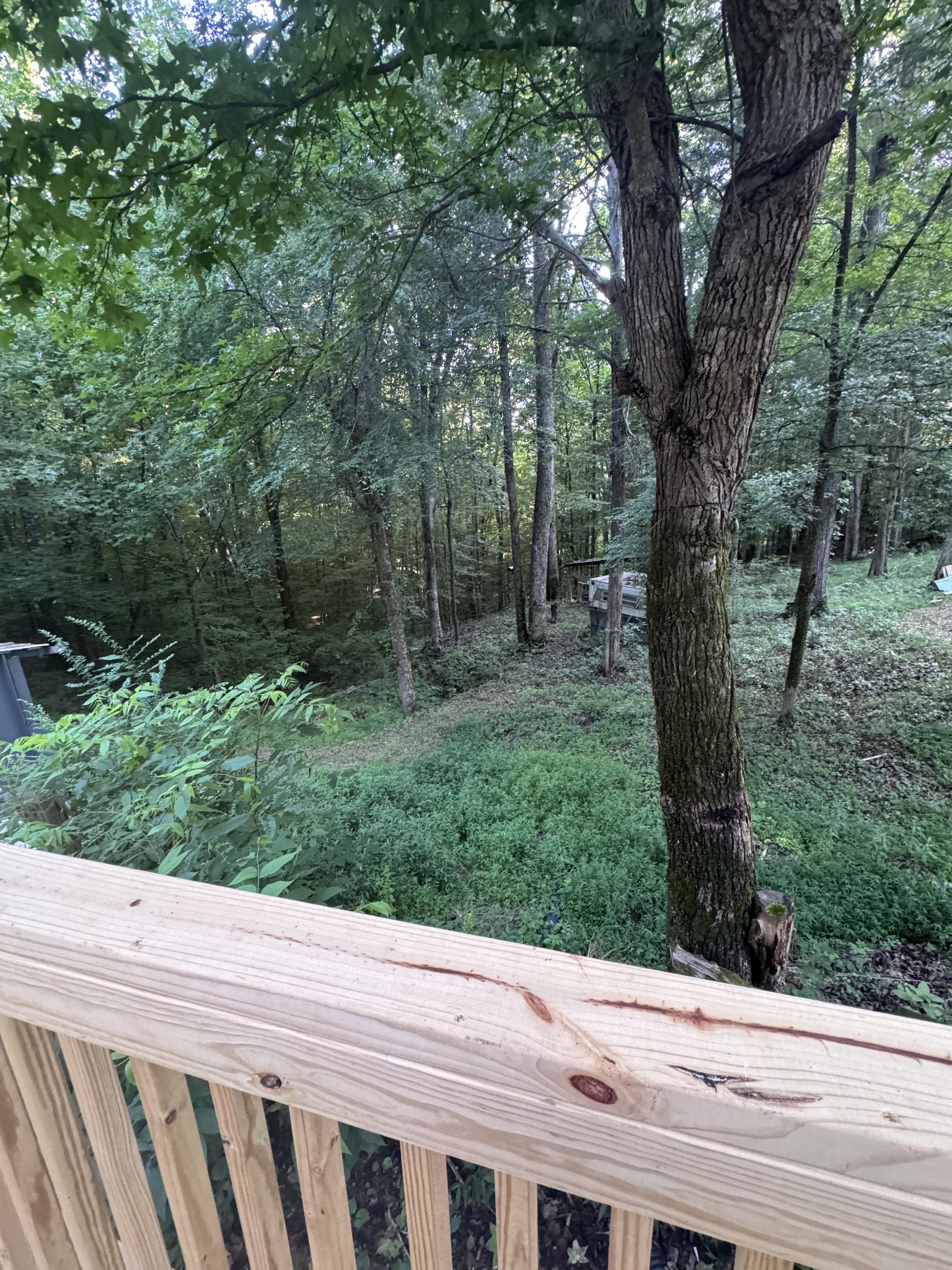 455 Old Pinhook Road Smithville, TN 37166 - Photo 27 of 33 Gallery Image 27