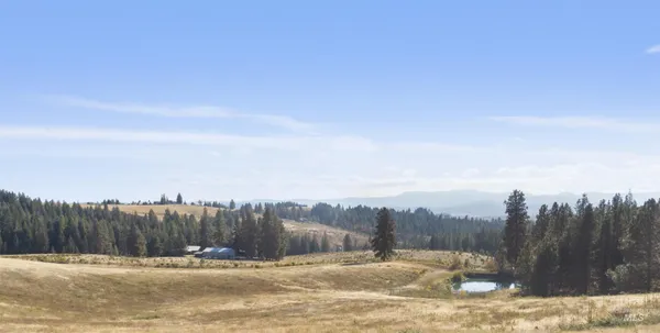 $229,000 | Tbd 10-ac Tbd 10-ac Gold Hill, Princeton, ID 83857
