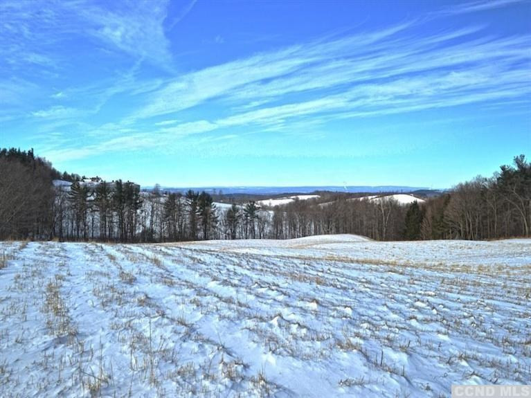 1 Thomas Road Chatham, NY 12136 - Photo 1 of 6 Photo 1