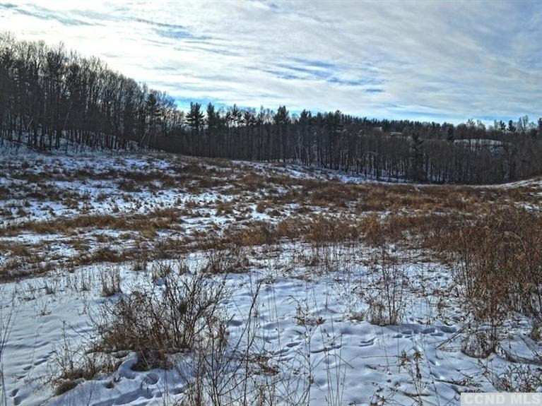 1 Thomas Road Chatham, NY 12136 - Photo 4 of 6 Photo 4