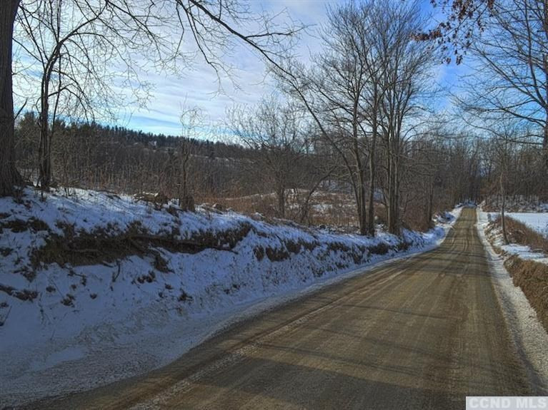 1 Thomas Road Chatham, NY 12136 - Photo 5 of 6 Photo 5