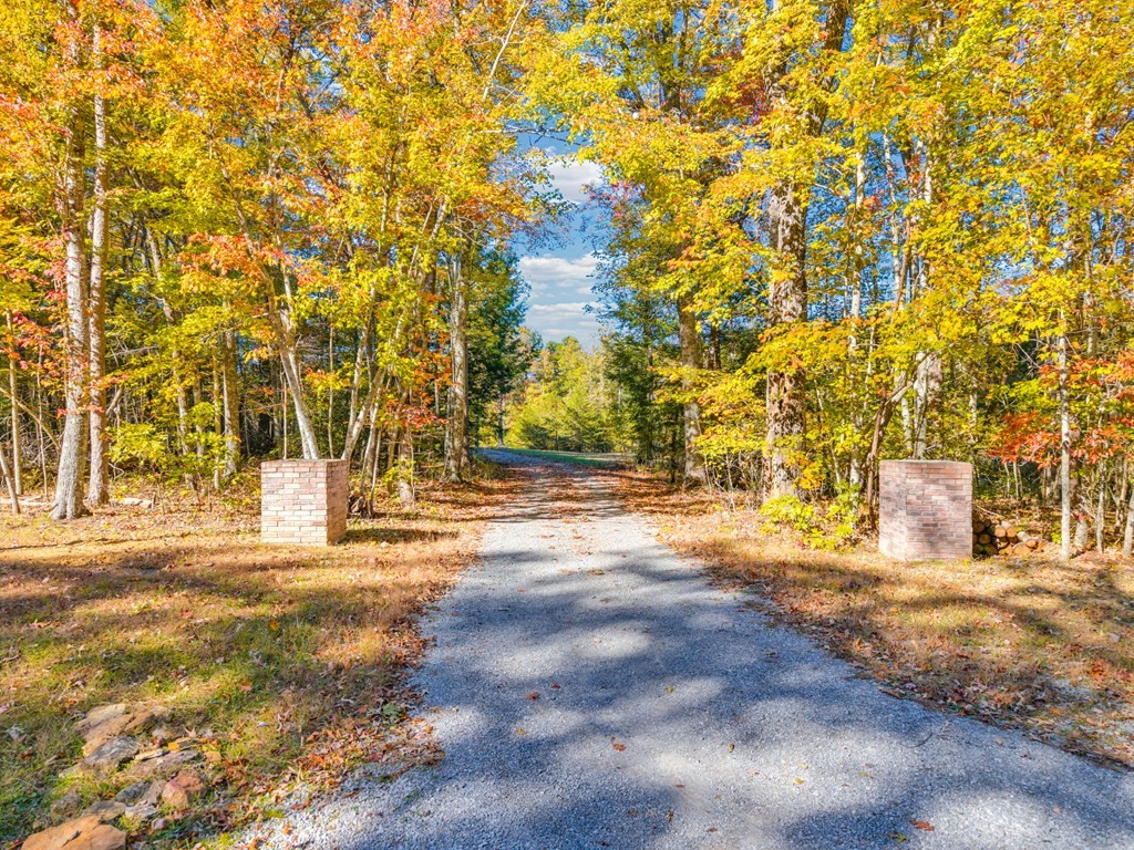 700 Falls Road Monterey, TN 38574 - Photo 3 of 69