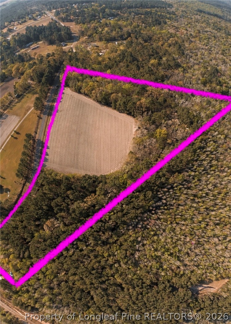 Ruth Vinson Road Autryville, NC 28318 - Photo 2 of 9