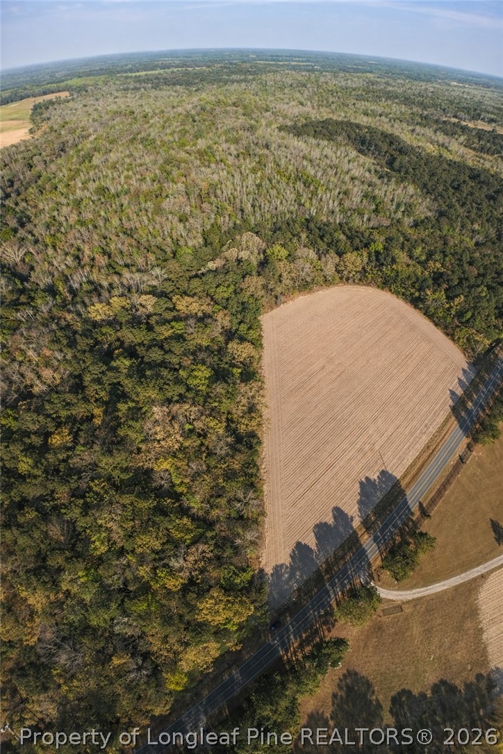 Ruth Vinson Road Autryville, NC 28318 - Photo 3 of 9