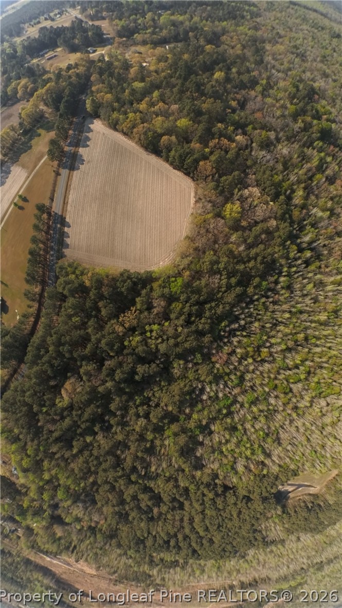 Ruth Vinson Road Autryville, NC 28318 - Photo 4 of 9