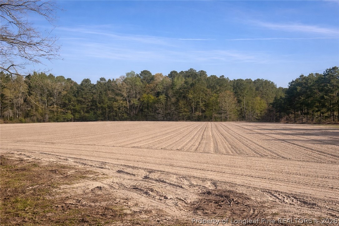 Ruth Vinson Road Autryville, NC 28318 - Photo 5 of 9