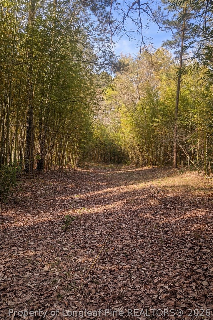 Ruth Vinson Road Autryville, NC 28318 - Photo 6 of 9
