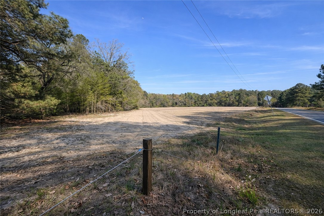 Ruth Vinson Road Autryville, NC 28318 - Photo 7 of 9
