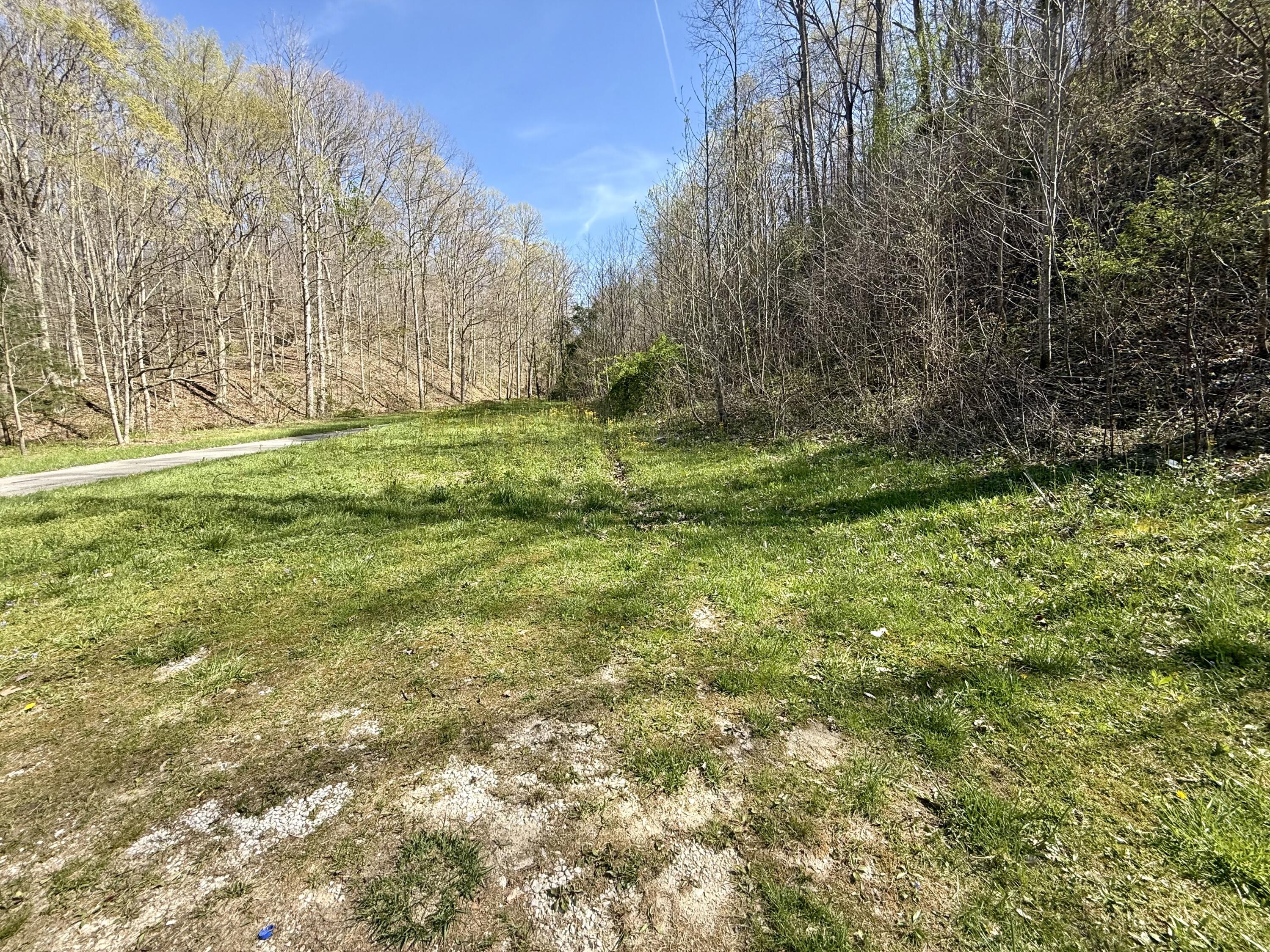 365 Ester Spur Road Waynesburg, KY 40489 - Photo 18 of 32 IMG_6456