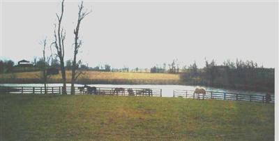 1830 Jacks Creek Road Lexington, KY 40515 - Photo 9 of 13 Photo 9