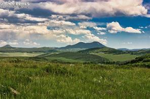5499 Remuda Rnch Parkway Sedalia, CO 80135 - Photo 19 of 19 a view of a lake in middle of the green field