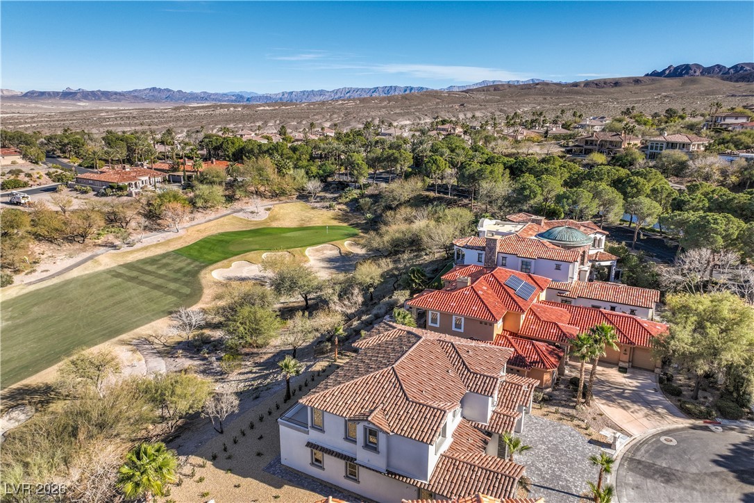 8 Rue Du Ville Henderson, NV 89011 - Photo 60 of 65