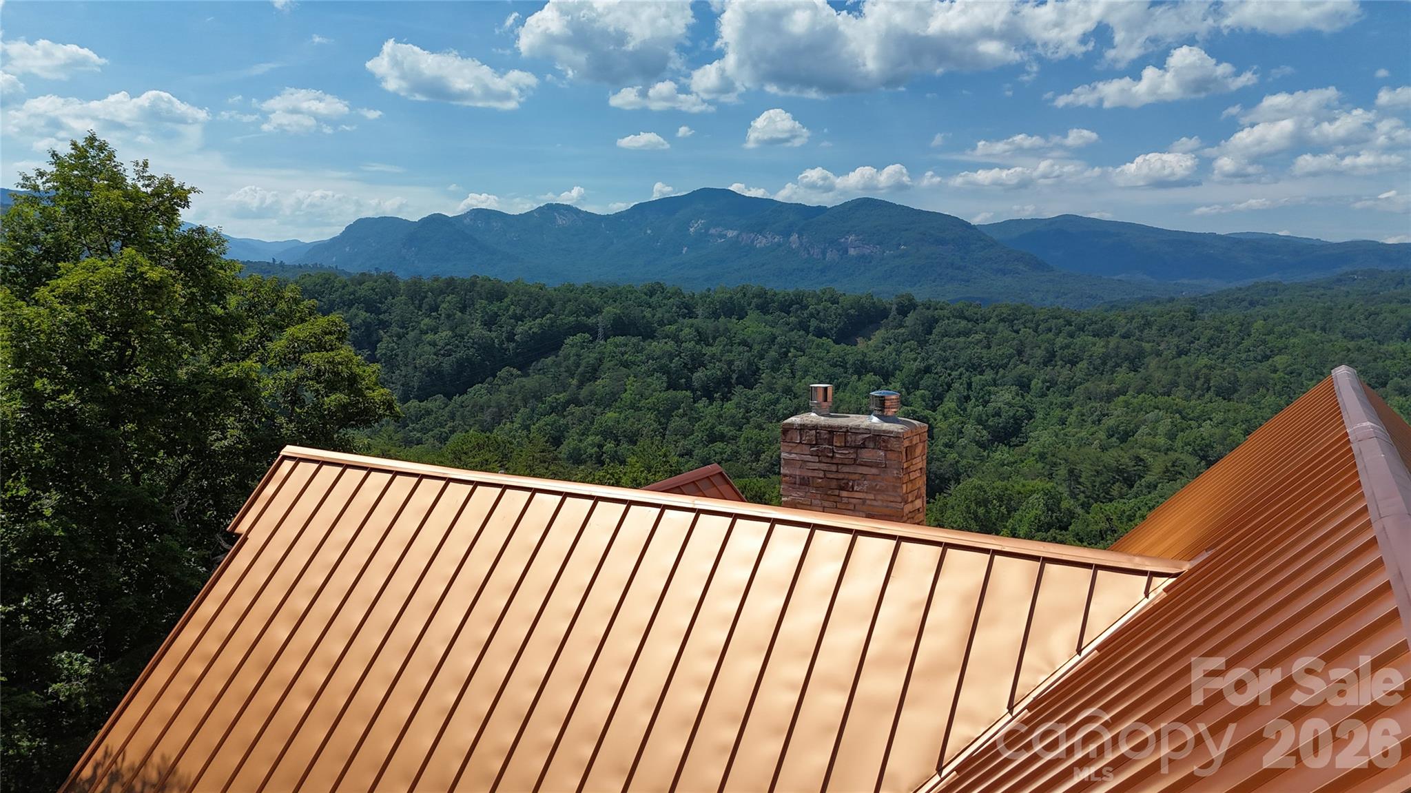 590 Boulder Ridge Lake Lure, NC 28746 - Photo 11 of 18
