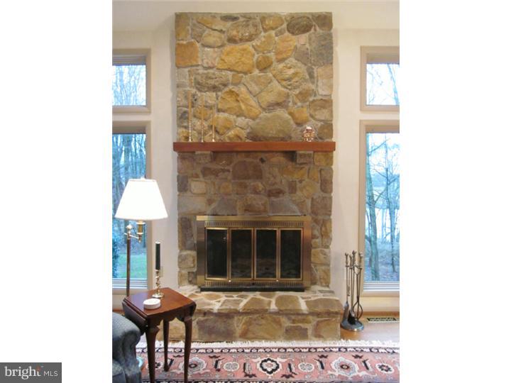 1008 Saber Road West Chester, PA 19382 - Photo 12 of 25 Fireplace