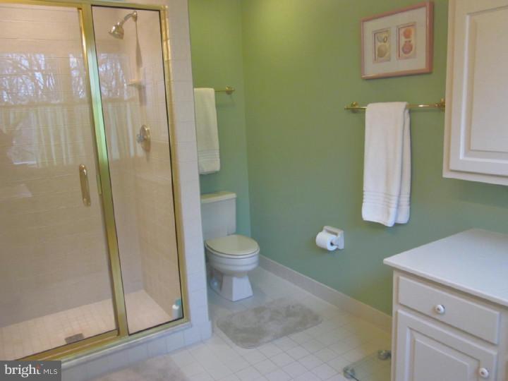 1008 Saber Road West Chester, PA 19382 - Photo 18 of 25 Master Bathroom