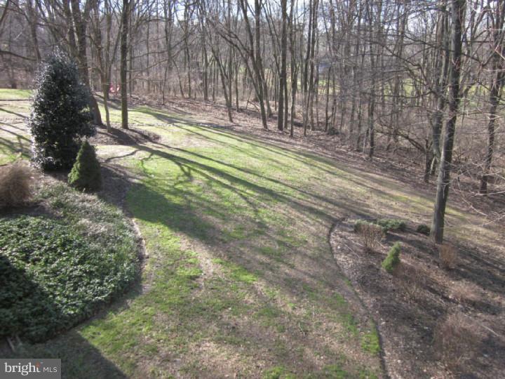 1008 Saber Road West Chester, PA 19382 - Photo 25 of 25 Back Yard