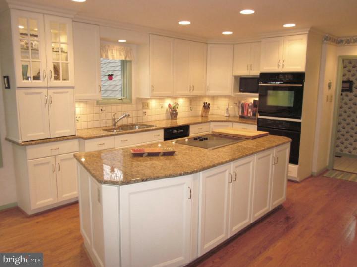 1008 Saber Road West Chester, PA 19382 - Photo 9 of 25 Kitchen
