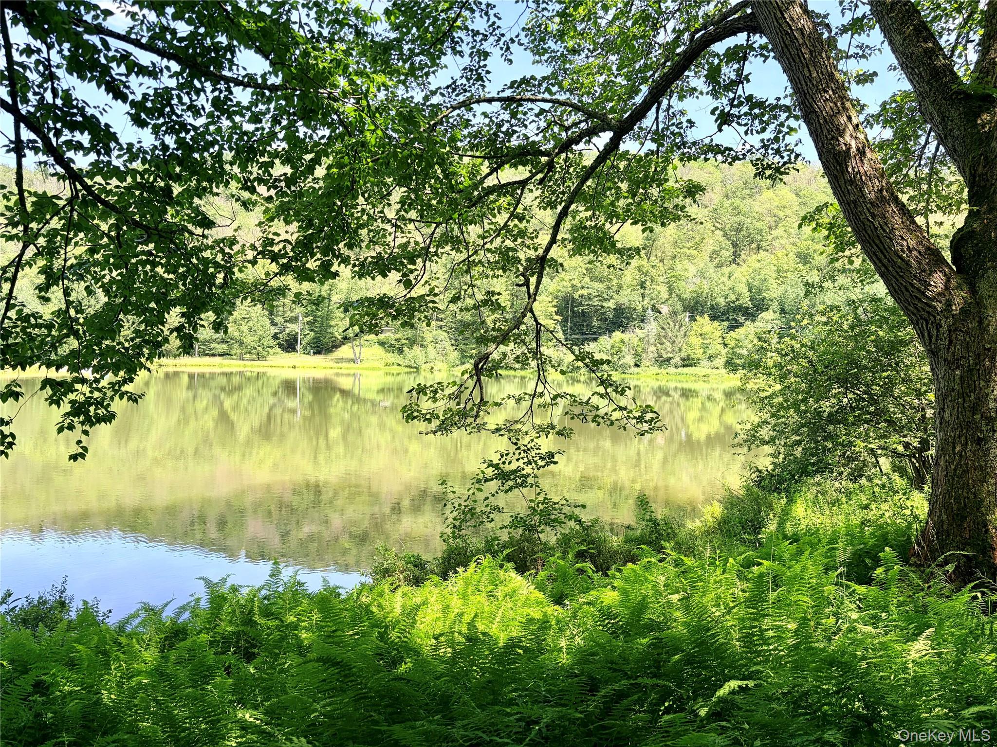 Doyle Road Roscoe, NY 12776 - Photo 2 of 14