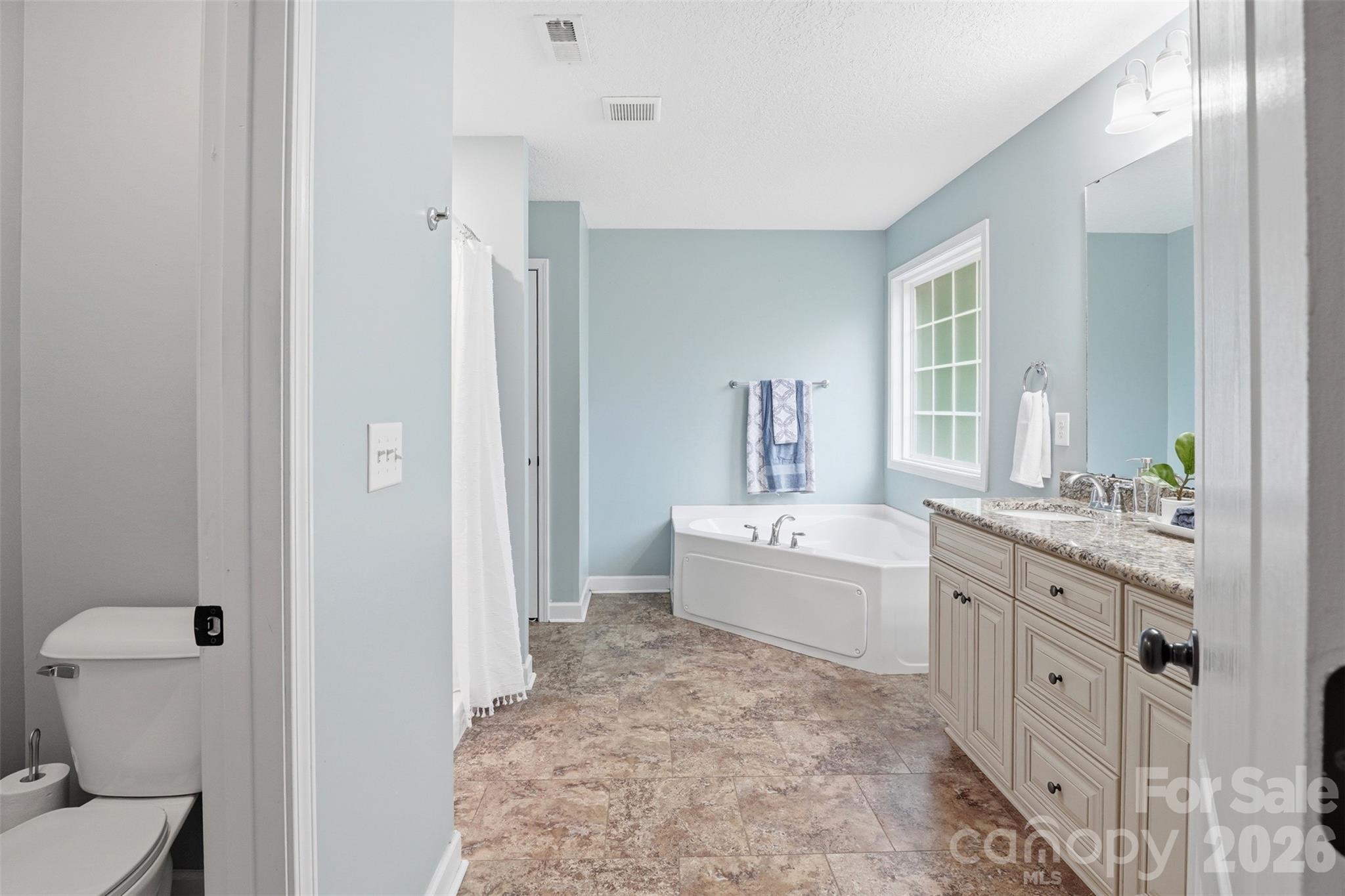 810 Tirzah Road York, SC 29745 - Photo 15 of 29 a large bathroom with a granite countertop tub sink and mirror