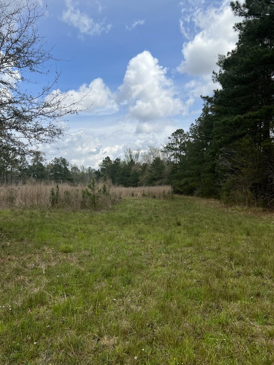 1865 County Rd S-45-222 Andrews, SC 29510 - Photo 2 of 21