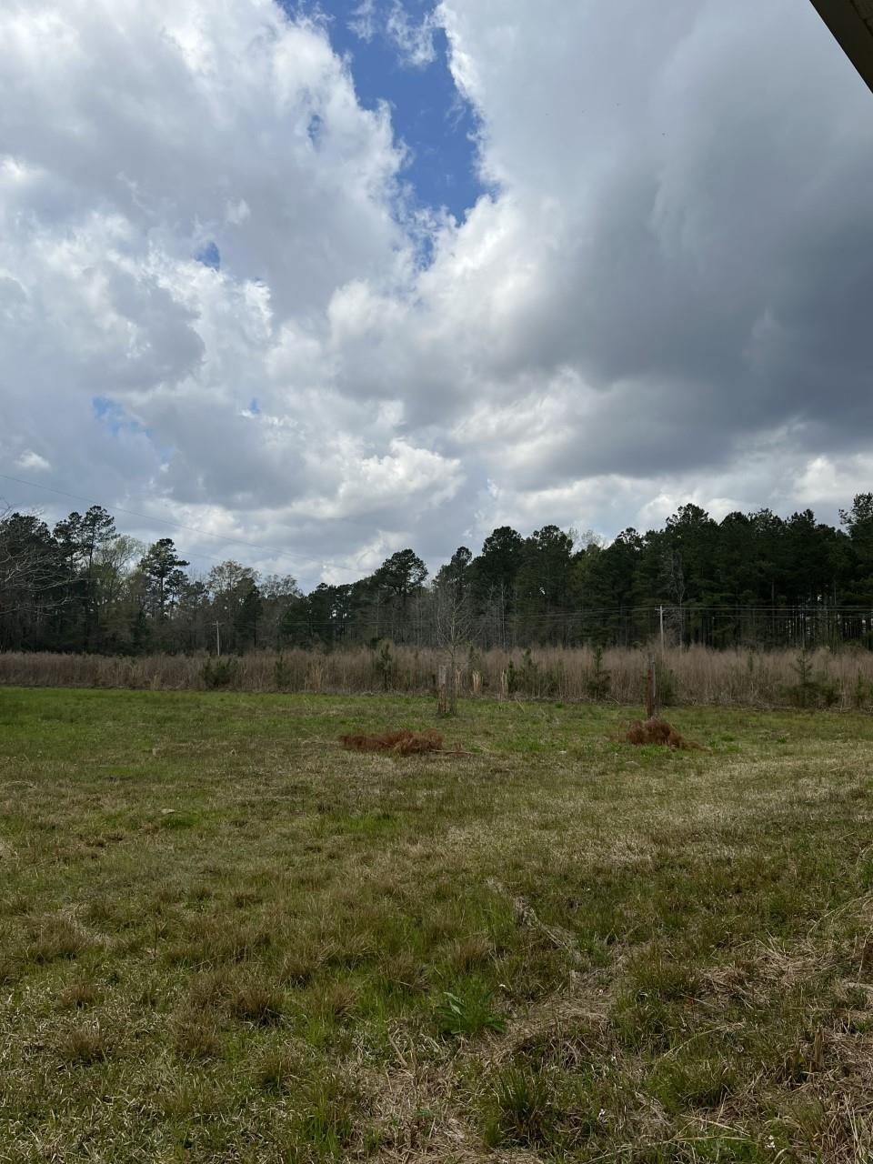 1865 County Rd S-45-222 Andrews, SC 29510 - Photo 3 of 21