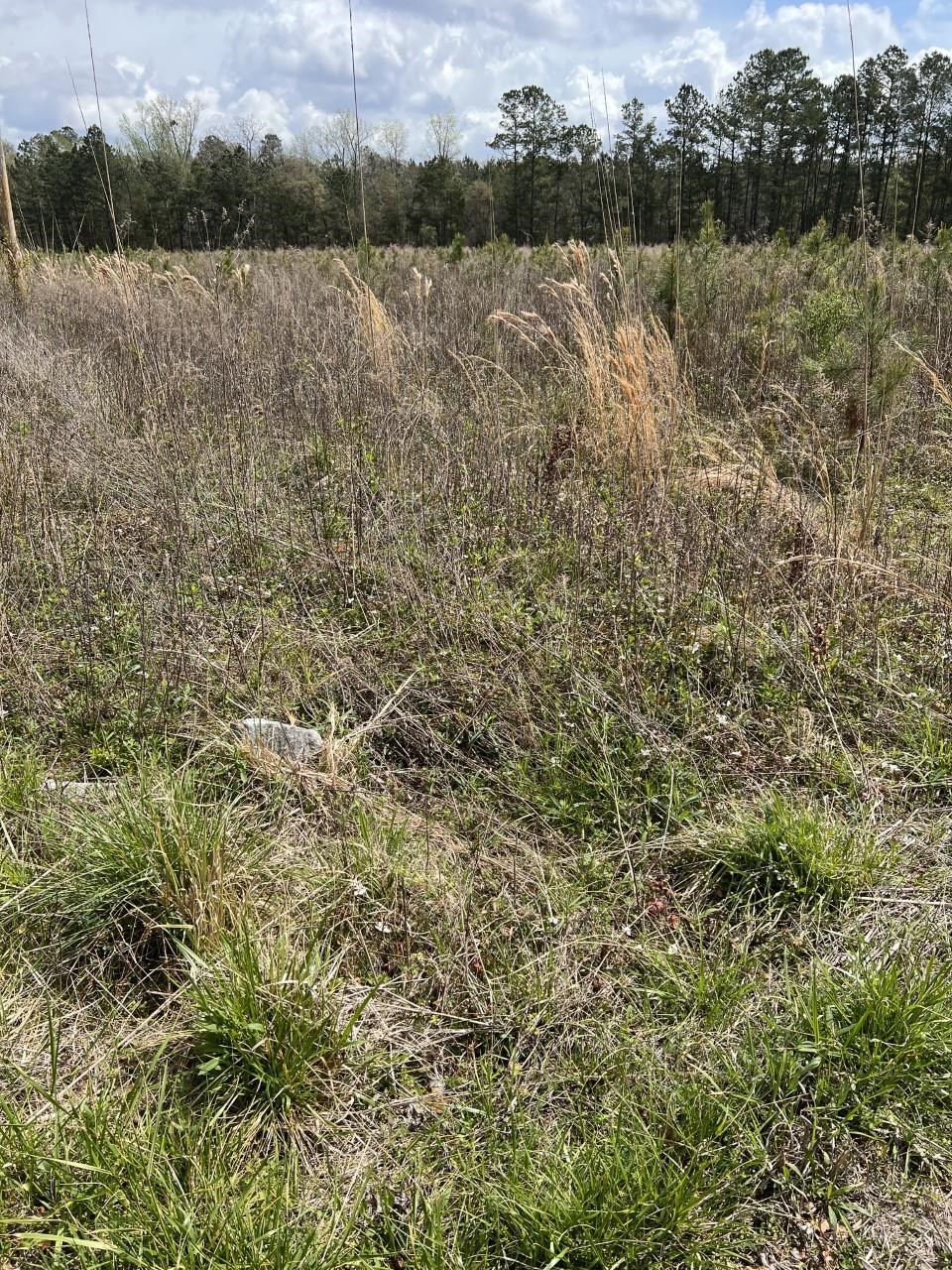 1865 County Rd S-45-222 Andrews, SC 29510 - Photo 5 of 21