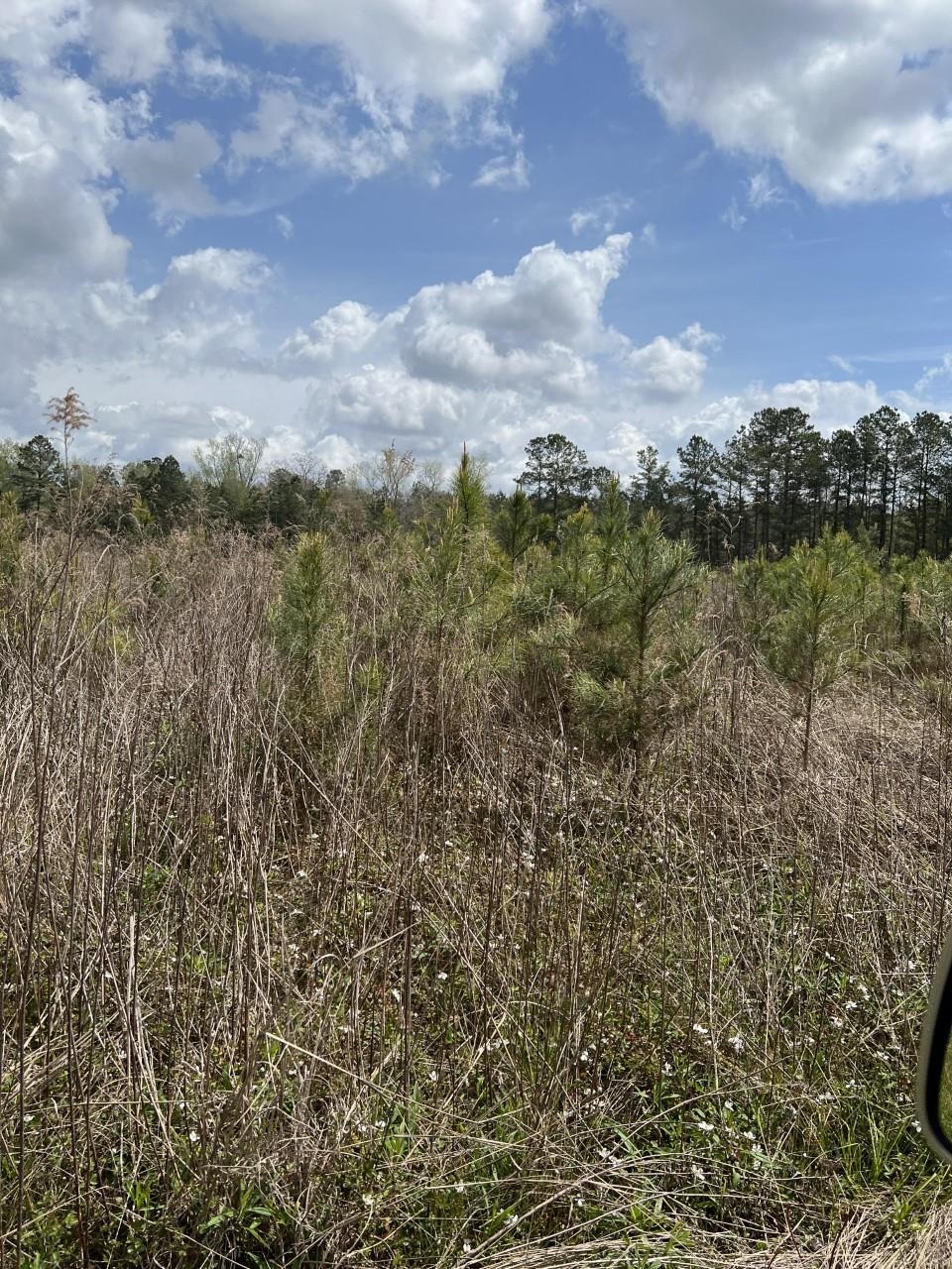 1865 County Rd S-45-222 Andrews, SC 29510 - Photo 6 of 21