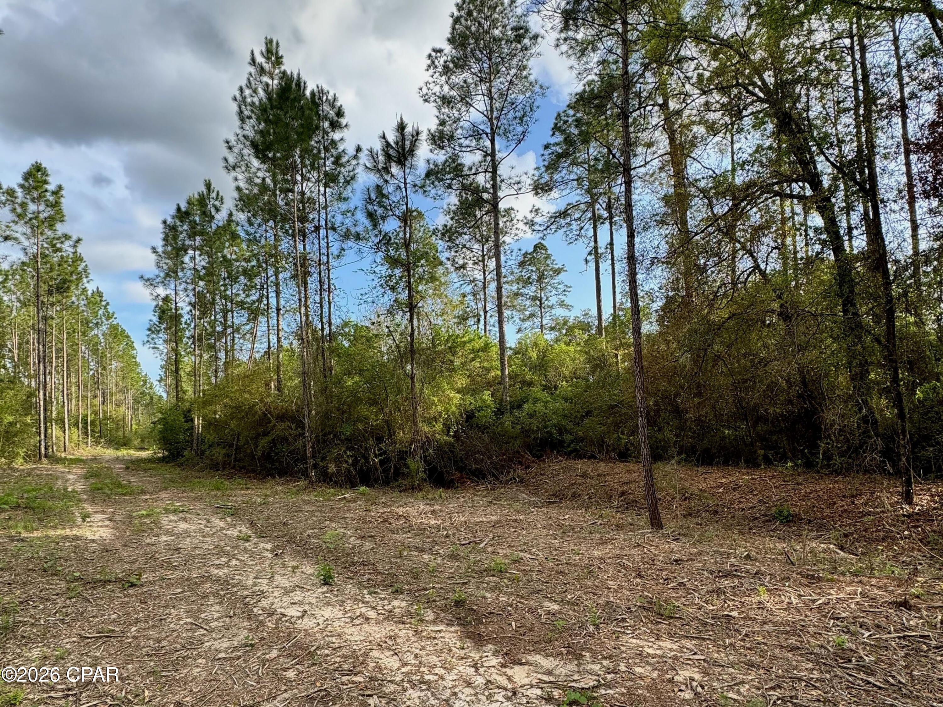 Lot 9 Pleasant Hill Road Bonifay, FL 32425 - Photo 5 of 10