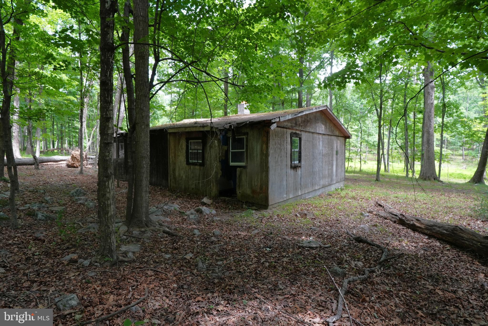 1917 South Timber Ridge Road Cross Junction, VA 22625 - Photo 9 of 19