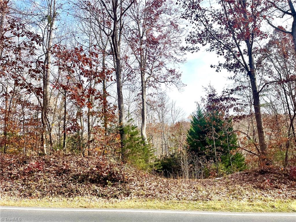 0 Old Liberty Road Randleman, NC 27317 - Photo 5 of 6 Gallery Image 5