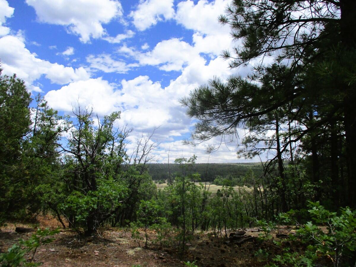 157 Forest Road Ramah, NM 87321 - Photo 66 of 71 Gallery Image 66
