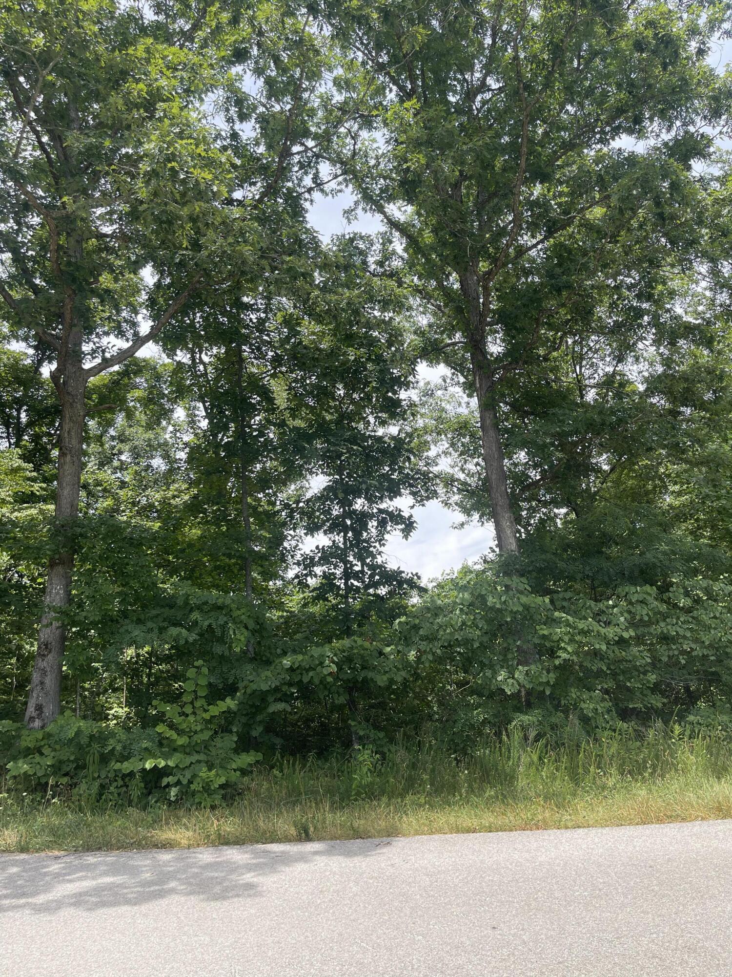 1553 Allen Road Booneville, KY 41314 - Photo 9 of 13 A6FC3363-485C-450F-A1A5-3EB4026EEDD7