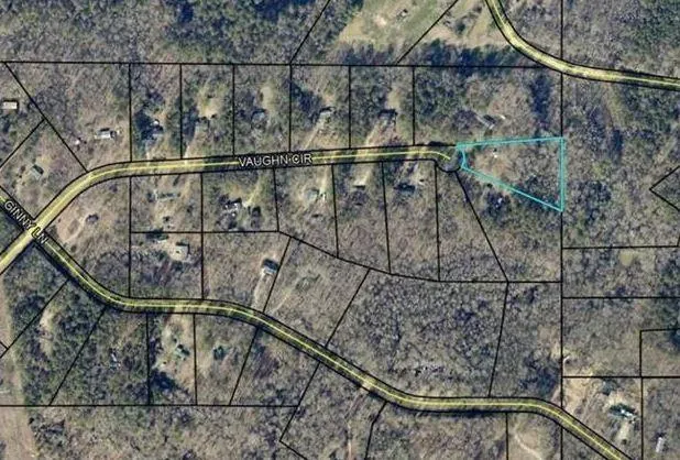 a partial view of a forest