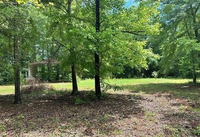 a view of outdoor space and trees