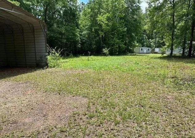 a view of a yard with potted plants and large trees