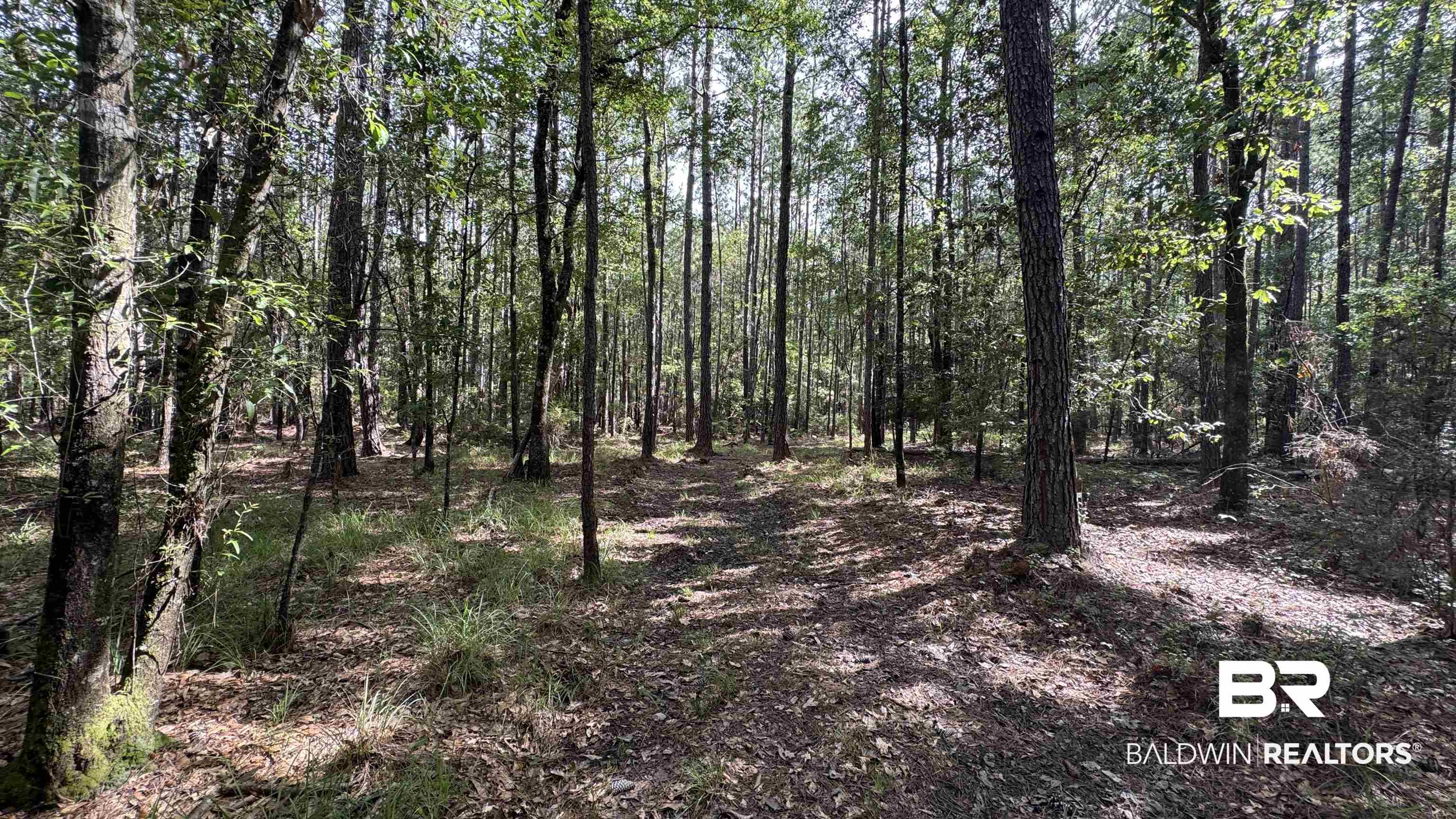 66409 James Road Stockton, AL 36579 - Photo 20 of 35