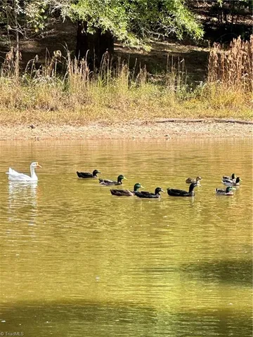 $245,000 | 3490 Highway 220, Stoneville, NC 27048