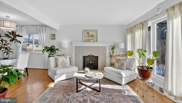 a living room with furniture fireplace and potted plant