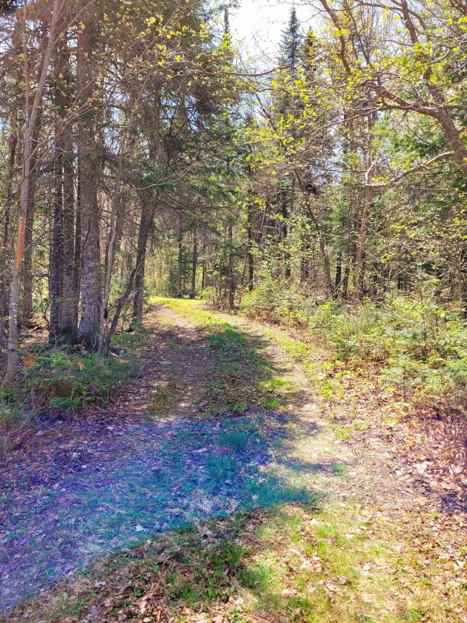 33 East No Road West Forks, ME 04985 - Photo 2 of 23 Cabin is tucked off the road
