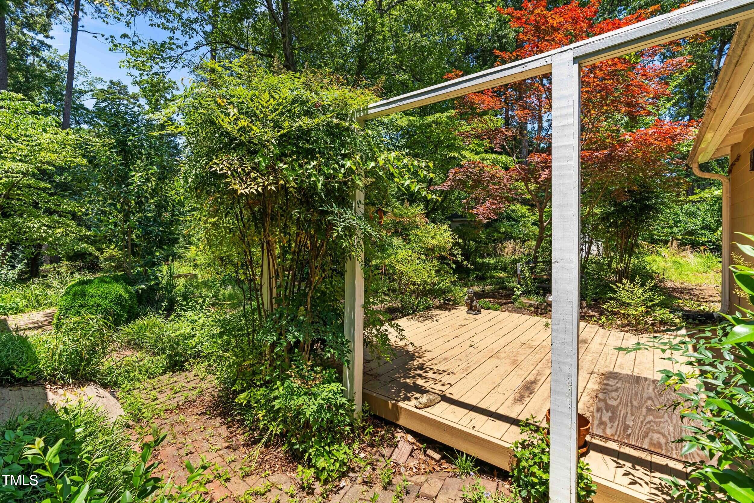 2143 Ridge Road Raleigh, NC 27607 - Photo 35 of 40 a view of a backyard with a tree